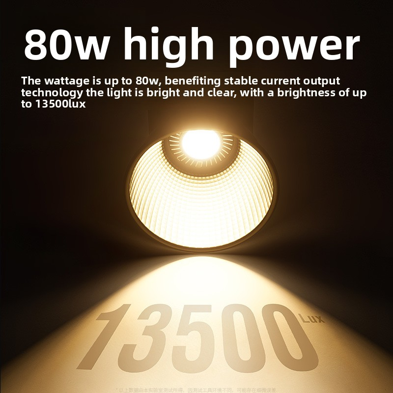 ZU80 80w Handheld Exterior Lam - Photography Lighting Handheld review and price