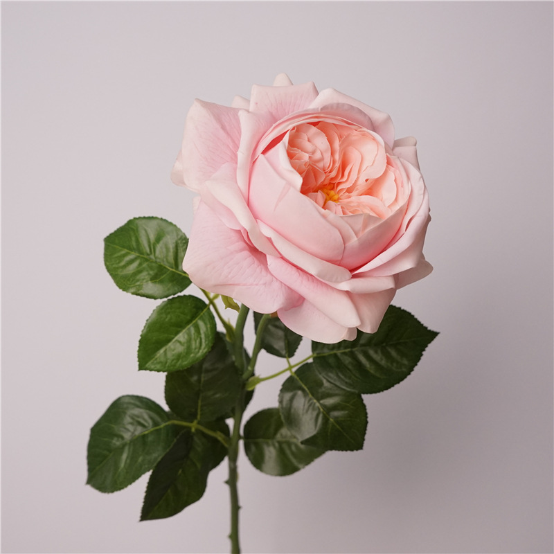 3pcs Moisturizing Rose Simulat - Photography Lighting Simulator Free review and price