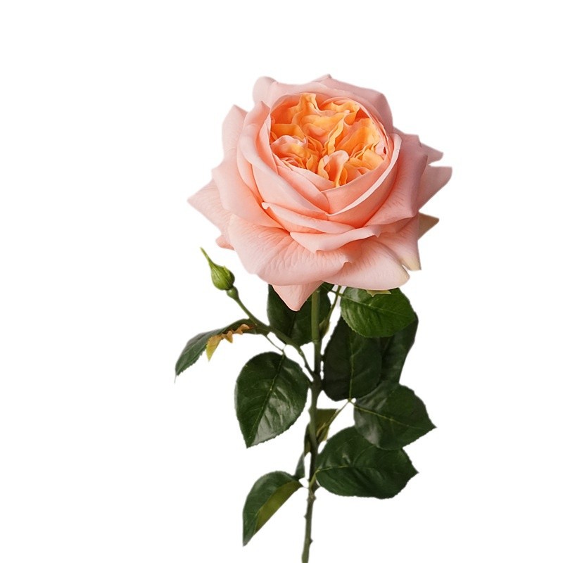 3pcs Moisturizing Rose Simulat - Photography Lighting Simulator Free review and price