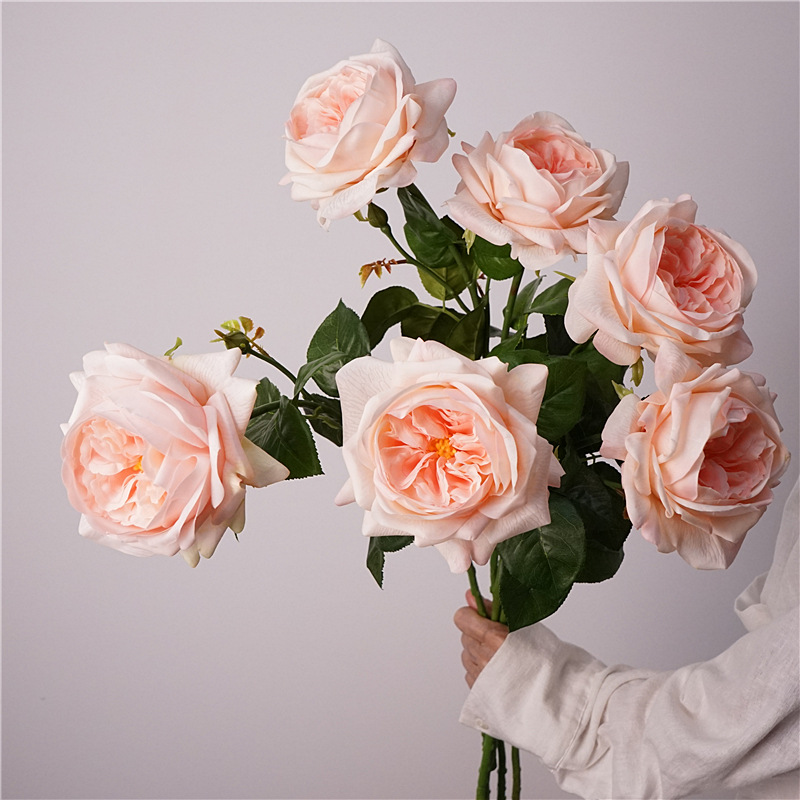 3pcs Moisturizing Rose Simulat - Photography Lighting Simulator Free review and price