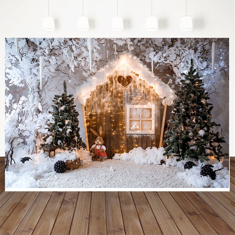 Mocsicka Winter Christmas Cele - Photography Lighting White Background review and price